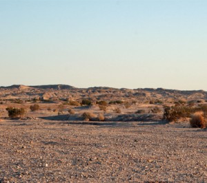 desert_edited-1