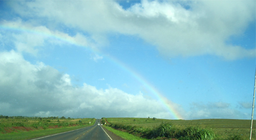rainbow_edited-1