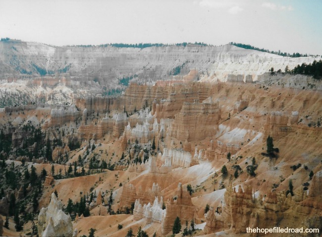 Photo Renae Bowman