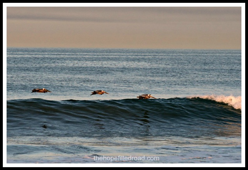 photo: Renae Bowman